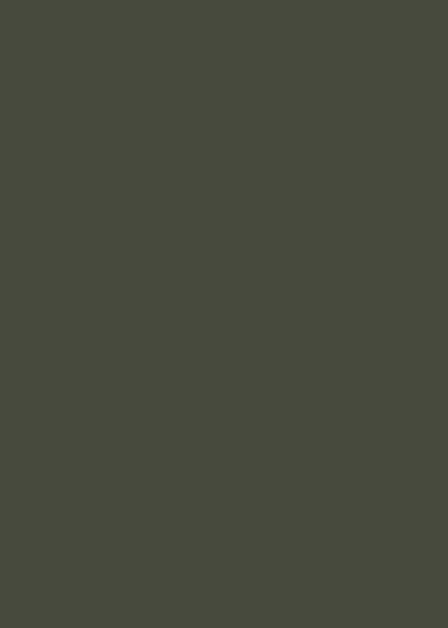 WD3_Grigio